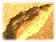 Insulation defect